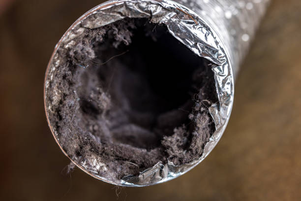 Best Ductwork Cleaning Services  in Fairlawn, VA
